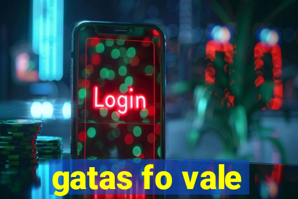 gatas fo vale